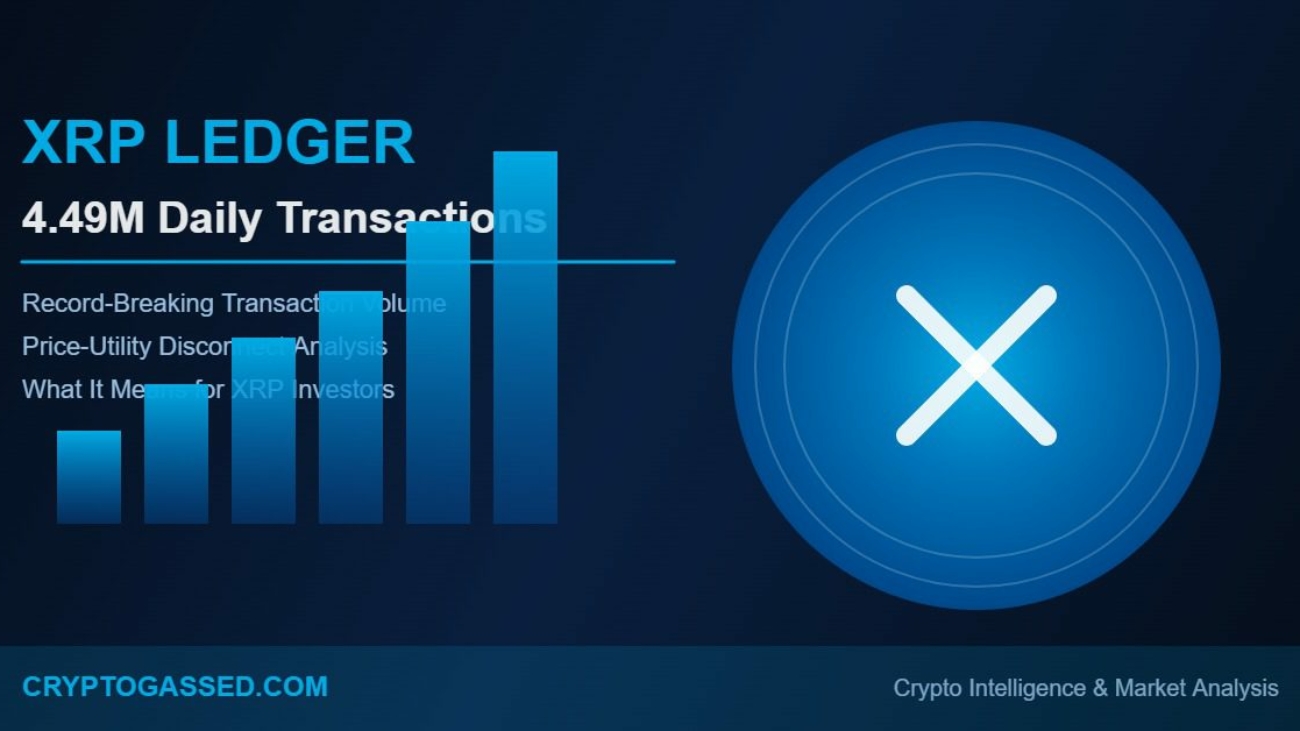 xrp-ledger-449-million-transactions-1