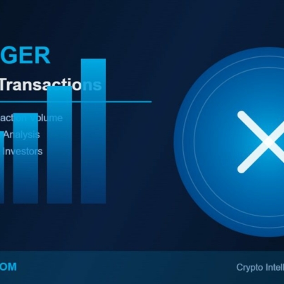 xrp-ledger-449-million-transactions-1